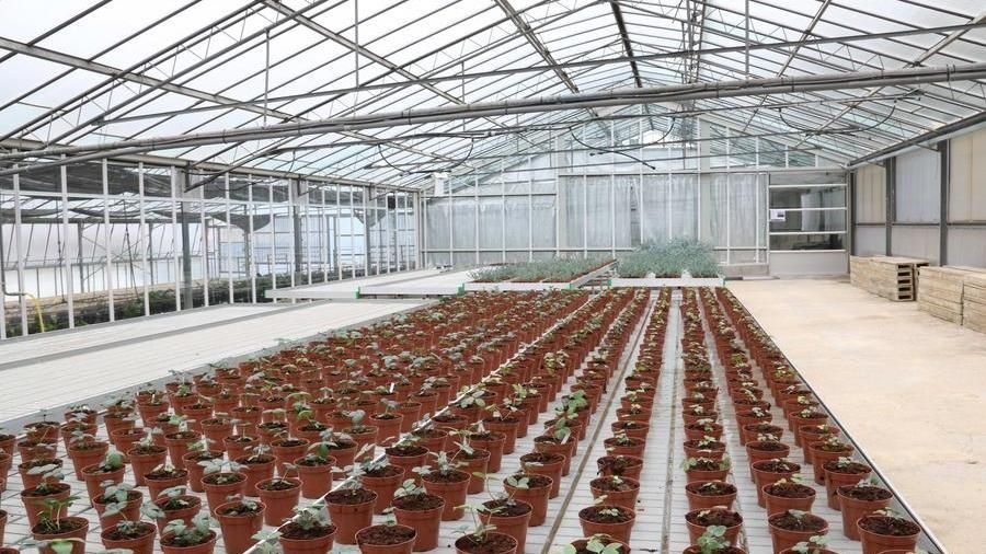 img-danni-per-un-miliardo