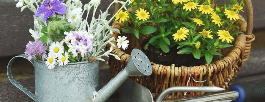 corsi-fai-da-te-fico